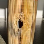 Rat In Air Filter