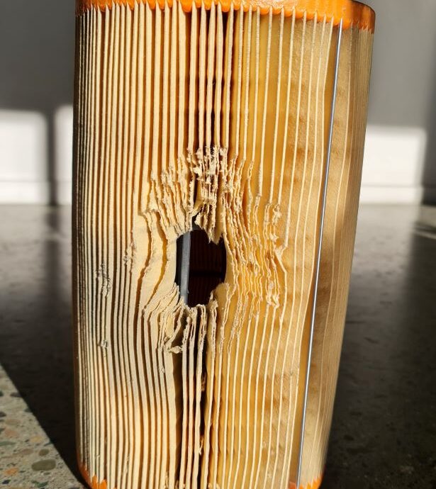 Rat In Air Filter