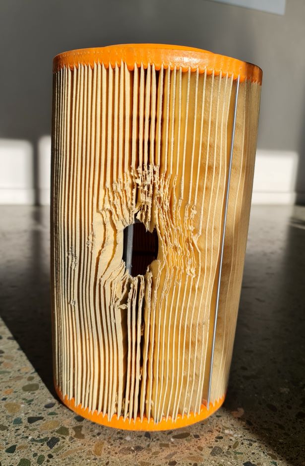 Rat in Air Filter
