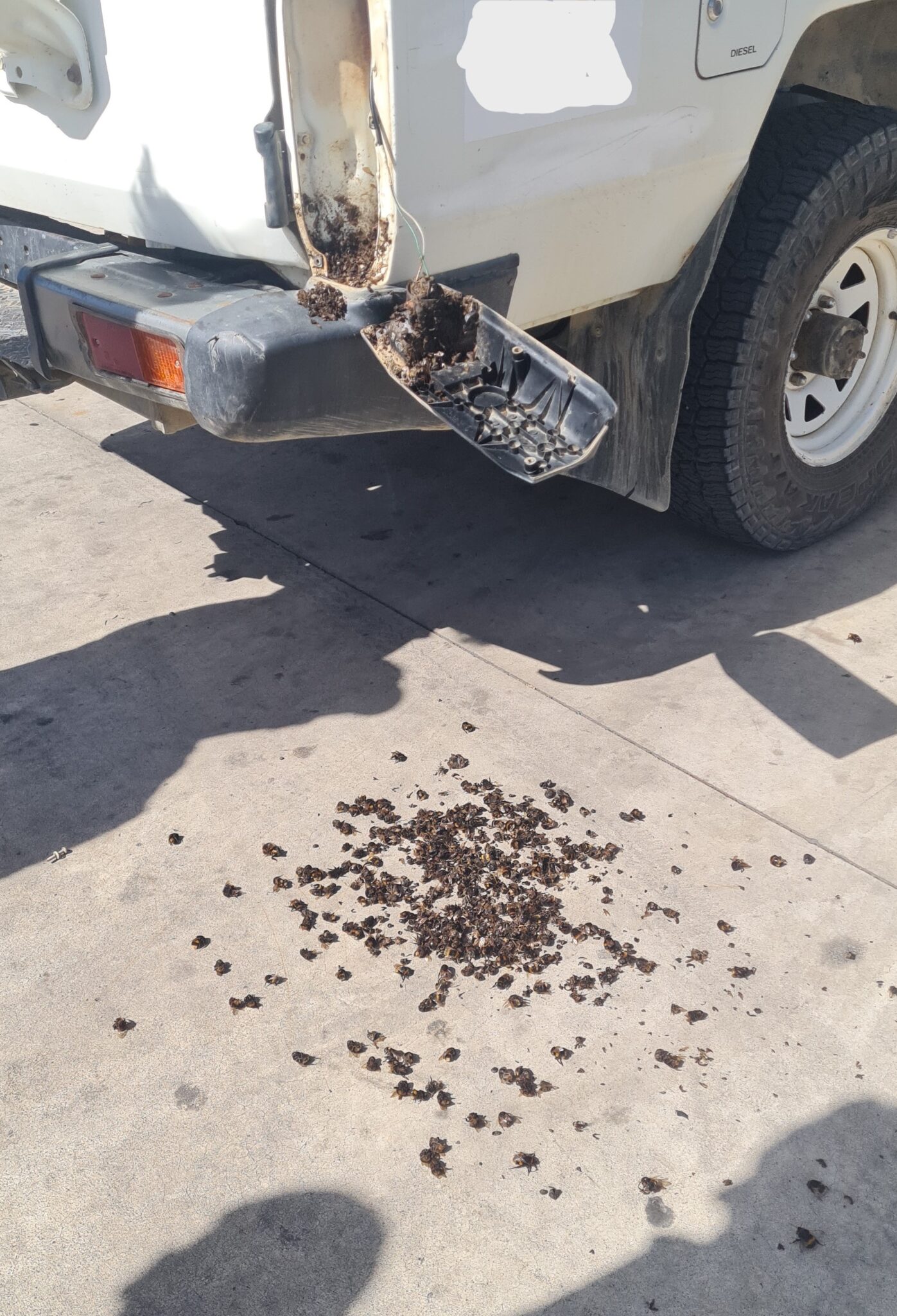 A buzzworthy tale from Nelson Truck Repairs & Spares.